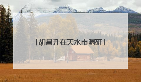 胡昌升在天水市调研