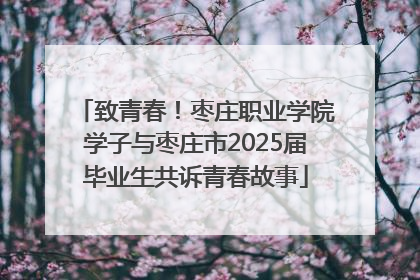 致青春！枣庄职业学院学子与枣庄市2025届毕业生共诉青春故事