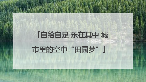 自给自足 乐在其中 城市里的空中“田园梦”