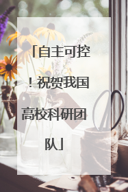 自主可控！祝贺我国高校科研团队