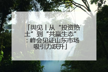 舆见丨从“投资热土”到“共赢生态”：峰会见证山东市场吸引力跃升