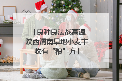 良种良法战高温 陕西渭南旱地小麦丰收有“粮”方