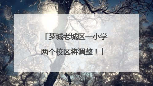 芗城老城区一小学两个校区将调整！