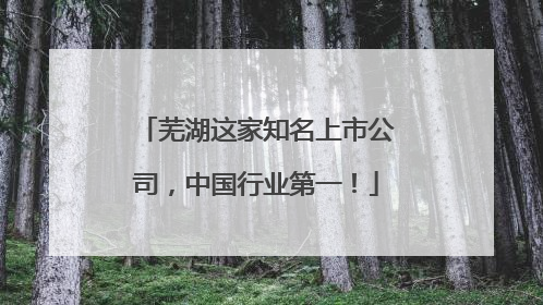 芜湖这家知名上市公司，中国行业第一！