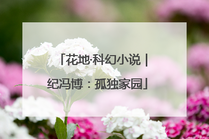 花地·科幻小说｜纪冯博：孤独家园