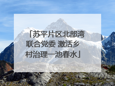 苏平片区北部湾联合党委 激活乡村治理一池春水