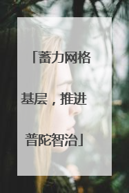 蓄力网格基层，推进普陀智治