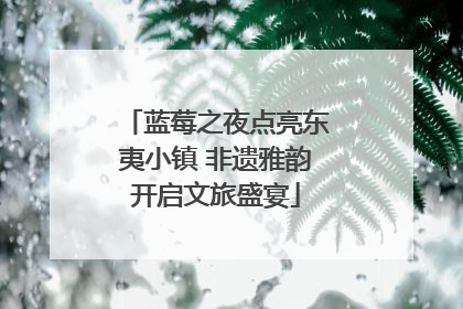 蓝莓之夜点亮东夷小镇 非遗雅韵开启文旅盛宴