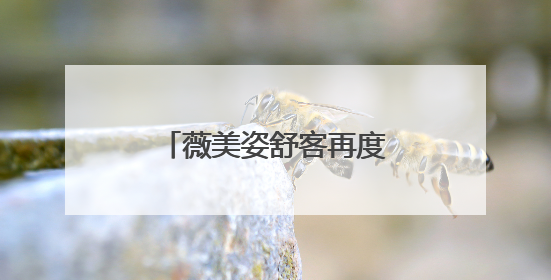 薇美姿舒客再度携手肖战，共赴东方美护之旅