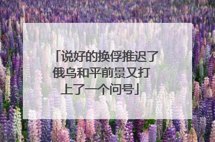 说好的换俘推迟了 俄乌和平前景又打上了一个问号