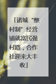 诸城“整村制”经营铺就富民强村路，合作社迎来大丰收
