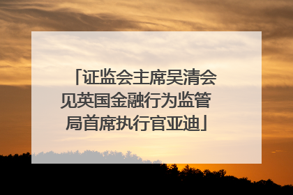证监会主席吴清会见英国金融行为监管局首席执行官亚迪