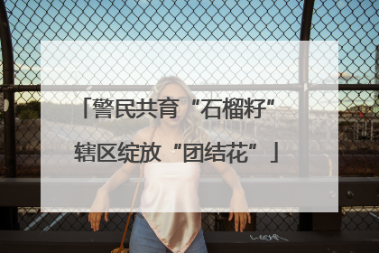 警民共育“石榴籽” 辖区绽放“团结花”