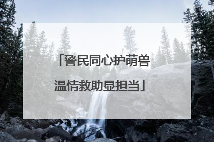 警民同心护萌兽 温情救助显担当
