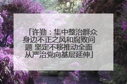 许勤：集中整治群众身边不正之风和腐败问题 坚定不移推动全面从严治党向基层延伸