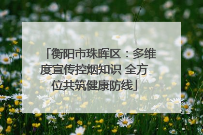 衡阳市珠晖区：多维度宣传控烟知识 全方位共筑健康防线
