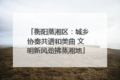 衡阳蒸湘区：城乡协奏共谱和美曲 文明新风劲拂蒸湘地