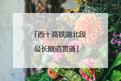 西十高铁湖北段最长隧道贯通