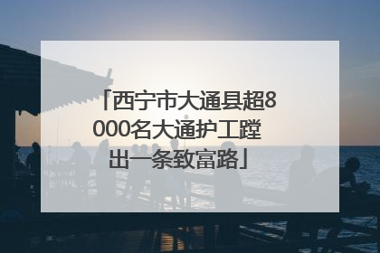 西宁市大通县超8000名大通护工蹚出一条致富路