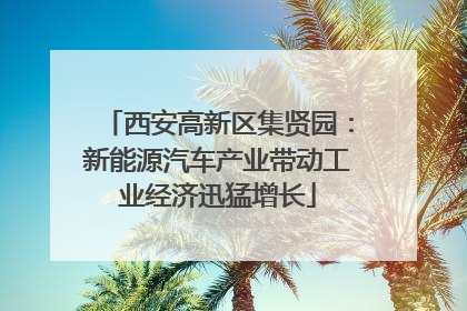 西安高新区集贤园：新能源汽车产业带动工业经济迅猛增长