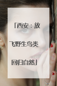 西安：放飞野生鸟类回归自然