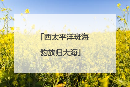 西太平洋斑海豹放归大海
