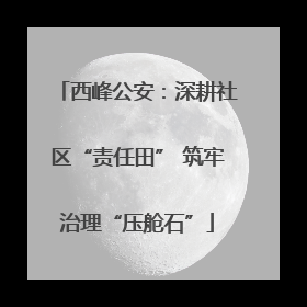 西峰公安：深耕社区“责任田” 筑牢治理“压舱石”