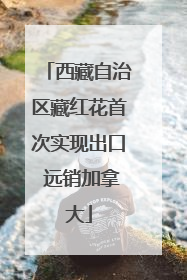 西藏自治区藏红花首次实现出口 远销加拿大