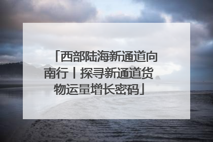 西部陆海新通道向南行丨探寻新通道货物运量增长密码