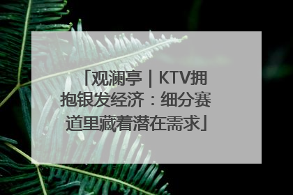 观澜亭｜KTV拥抱银发经济：细分赛道里藏着潜在需求