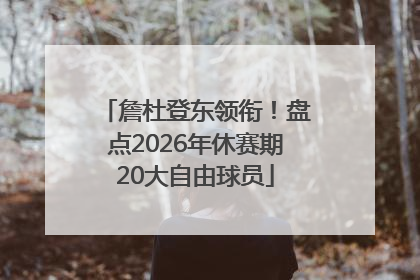 詹杜登东领衔！盘点2026年休赛期20大自由球员