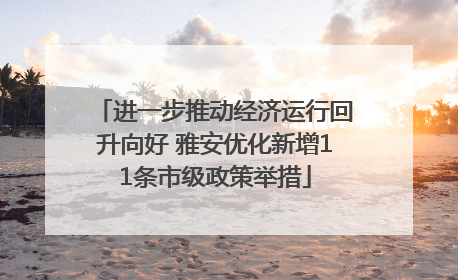 进一步推动经济运行回升向好 雅安优化新增11条市级政策举措