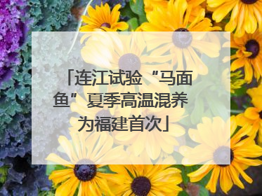 连江试验“马面鱼”夏季高温混养 为福建首次