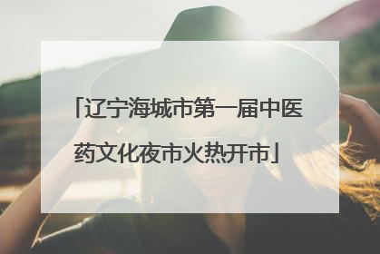 辽宁海城市第一届中医药文化夜市火热开市