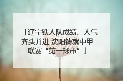 辽宁铁人队成绩、人气齐头并进 沈阳铸就中甲联赛“第一球市”