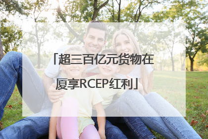 超三百亿元货物在厦享RCEP红利
