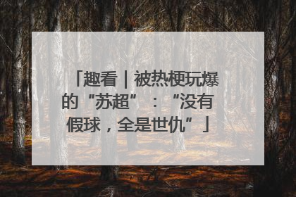 趣看｜被热梗玩爆的“苏超”：“没有假球，全是世仇”