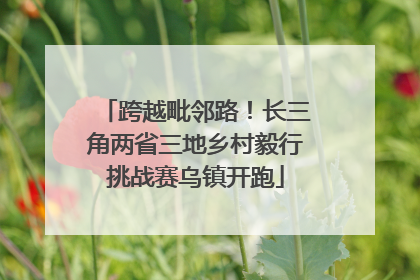 跨越毗邻路！长三角两省三地乡村毅行挑战赛乌镇开跑