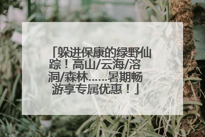 躲进保康的绿野仙踪！高山/云海/溶洞/森林……暑期畅游享专属优惠！