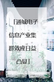 通城电子信息产业集群效应日益凸显