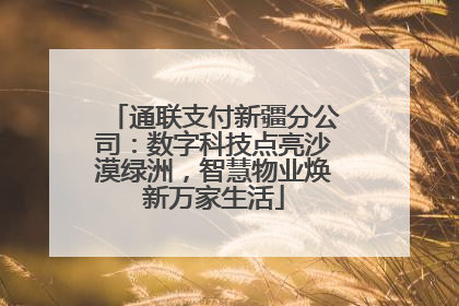 通联支付新疆分公司：数字科技点亮沙漠绿洲，智慧物业焕新万家生活