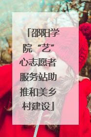 邵阳学院“艺”心志愿者服务站助推和美乡村建设