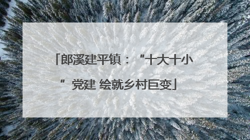 郎溪建平镇：“十大十小”党建 绘就乡村巨变