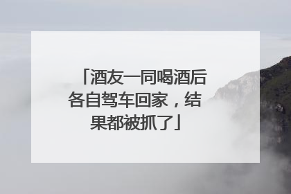 酒友一同喝酒后各自驾车回家，结果都被抓了