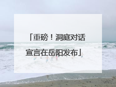 重磅！洞庭对话宣言在岳阳发布