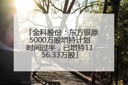 金科股份：东方银原5000万股增持计划时间过半，已增持1156.33万股