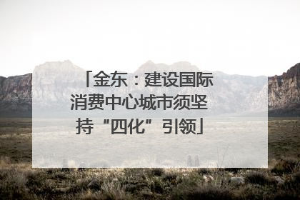 金东：建设国际消费中心城市须坚持“四化”引领