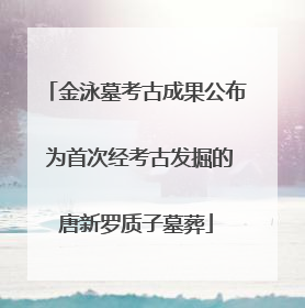 金泳墓考古成果公布 为首次经考古发掘的唐新罗质子墓葬