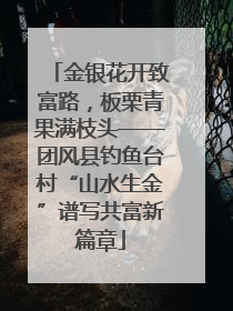 金银花开致富路，板栗青果满枝头——团风县钓鱼台村“山水生金”谱写共富新篇章