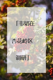 韦韬在杏花岭区调研